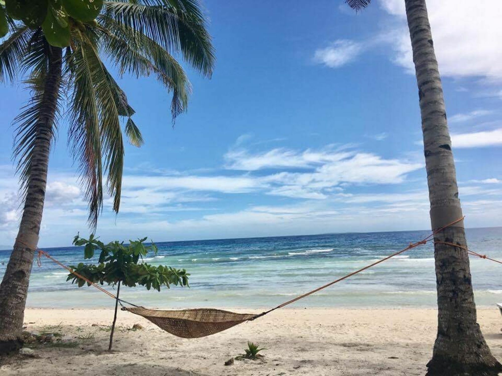 The Whitehouse By The Sea Villa Panglao Eksteriør bilde
